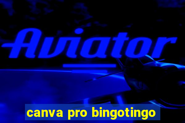 canva pro bingotingo